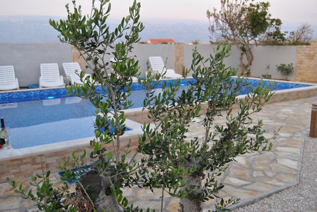 House With Swimming Pool Blue Diamond Apartment Povljana Luaran gambar